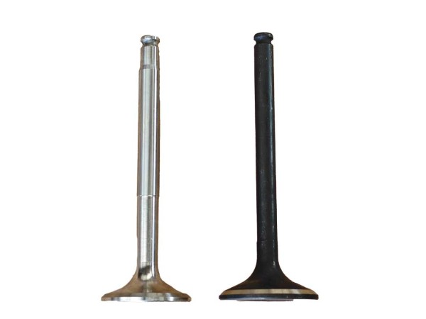 Set 10 stück Ventile Einlass und Auslass für OM 602 W460 , W461