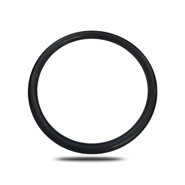 O-Ring p.f. A0049976548 Anlasser / Generator